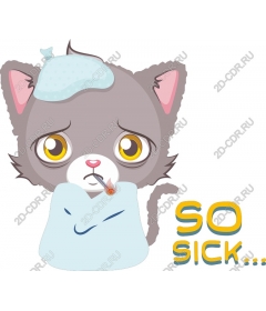 So sick cat