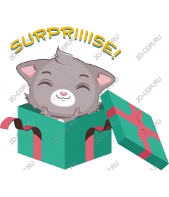 Kitty surprise gift box