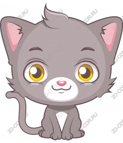  Adorable gray kitten