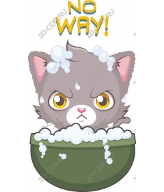  Angry cat in a foam bath