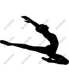  Elegant ballerina
