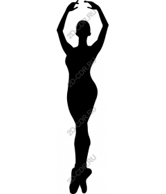  Elegant ballerina