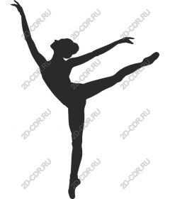 Graceful ballerina