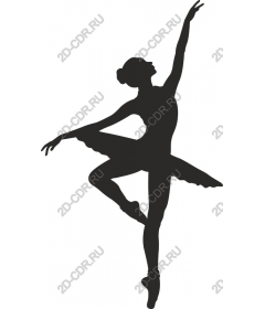  Elegant ballerina