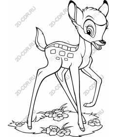  Adorable Fawn