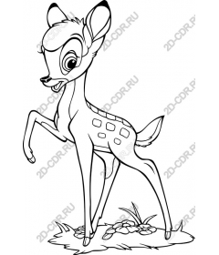 Playful fawn