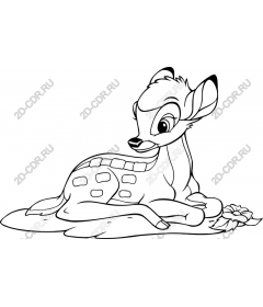  Adorable Fawn
