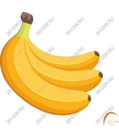 Banana bunch