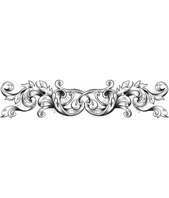  Elegant floral pattern