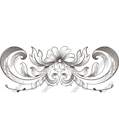  Elegant floral pattern