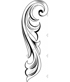  Elegant ornate curl