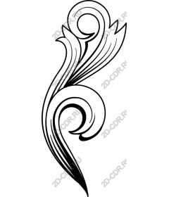  Elegant decorative flourish