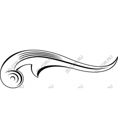  Elegant vortex