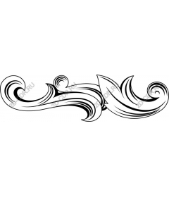  Elegant vortex