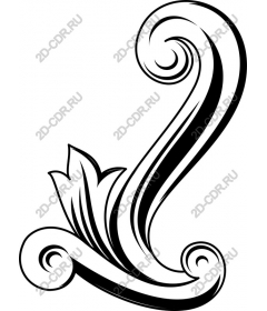  Elegant decorative tendril and leaf