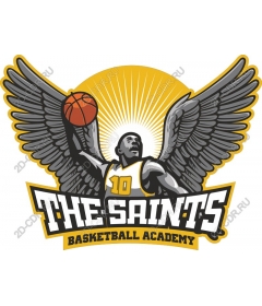 Basketball Academy "Saints"