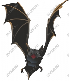  Fierce bat