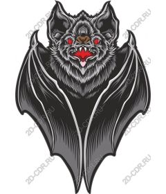  A ferocious night bat