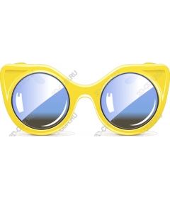  Chic sunglasses cat-eye