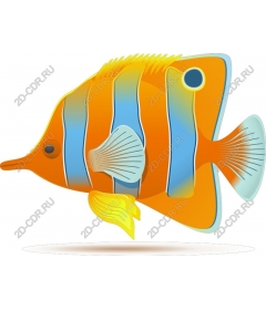  Colorful Fish