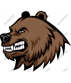  Медведь гризли
