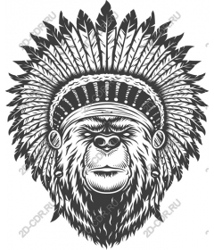 The majestic leader of the gorillas