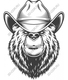 Bear cowboy
