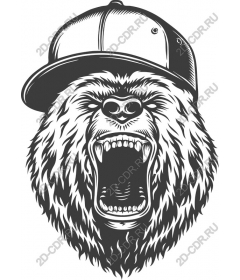 Urban roaring bear