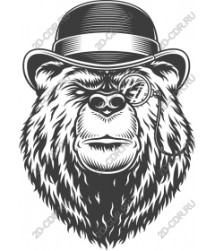  Dapper bear