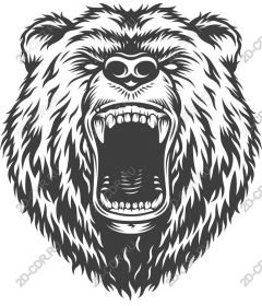  Roaring Bear