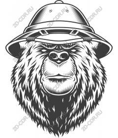  Bear researcher