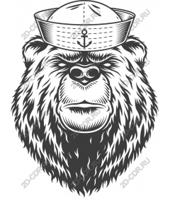 Sailor Bear