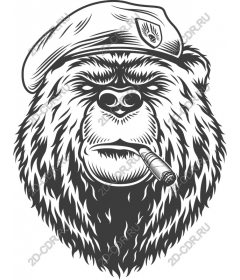The rebel bear