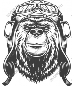  Pilot Gorilla