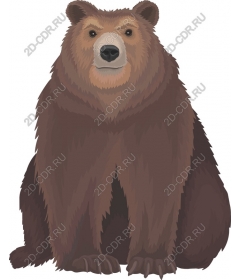  Bear - Magnificent brown bear