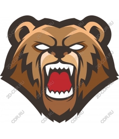 Head of roaring bear