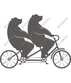  A tandem Bicycle is a Whimsical Bear