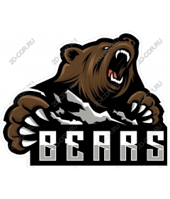  Ferocious bear