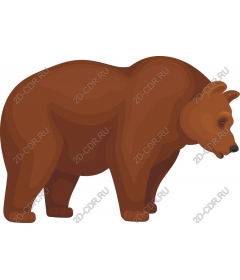 Brown bear