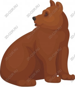 Brown bear