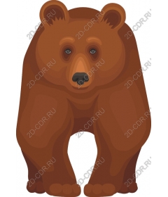 Majestic bear