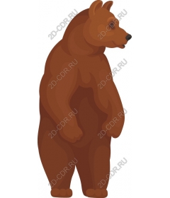  Adorable brown bear