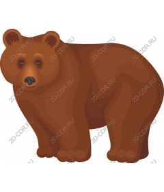  Adorable brown bear