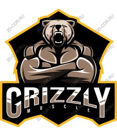 Grizzly Bear Muscle
