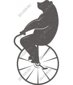  Unicycle Whimsical Bear