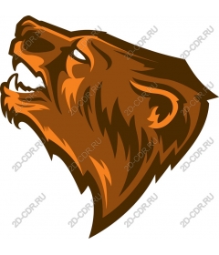 Head of a ferocious bear
