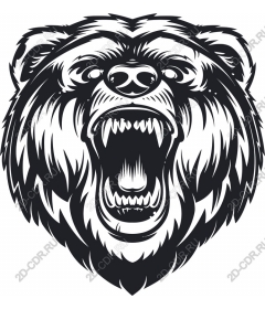 Head of roaring bear