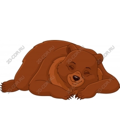 Relaxing brown bear