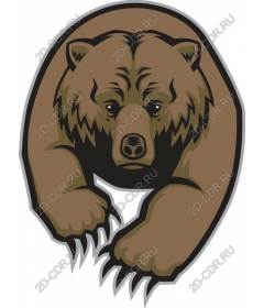  Ferocious bear