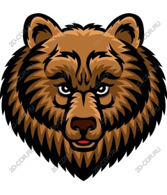 The majestic head of a bear